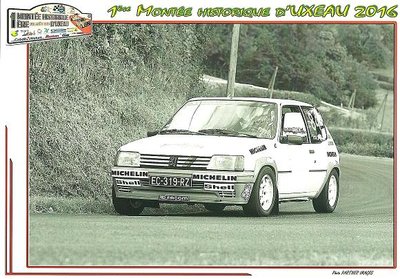 205 rallye meige et bambou 004.jpg