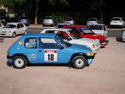 205 rallye meige et bambou 047.jpg