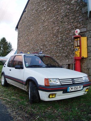 205 gti 127.jpg