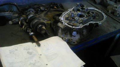 DSC_1267.jpg