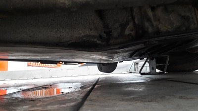 20170130_081902(0).jpg