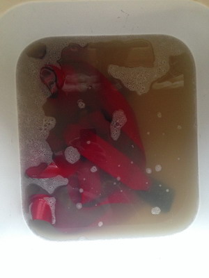 Lavage des ceintures qui en avaient bien besoin...