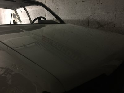 IMG_23151.jpg