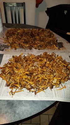 20171022_185654.jpg