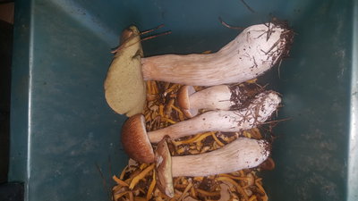 20171001_164340.jpg