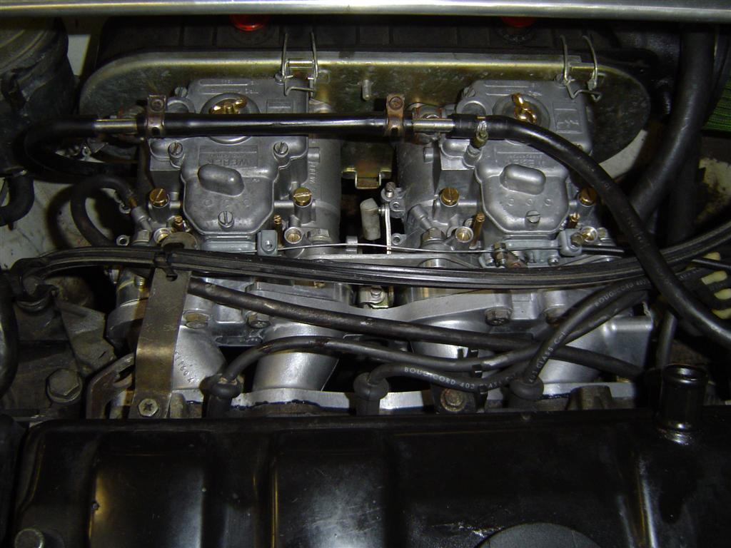 DSC03860 (Large).JPG