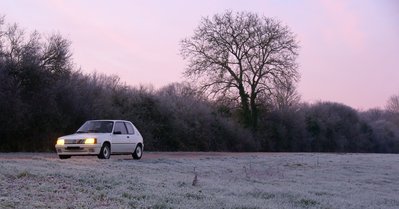 DSC03856.jpg