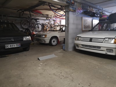 J'ai un élevage de 205 dans le garage...