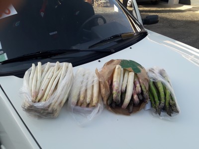 20210401_184533.jpg (3.39 Mio) Vu 2915 fois Petit échantillon d'asperges pour le gourou