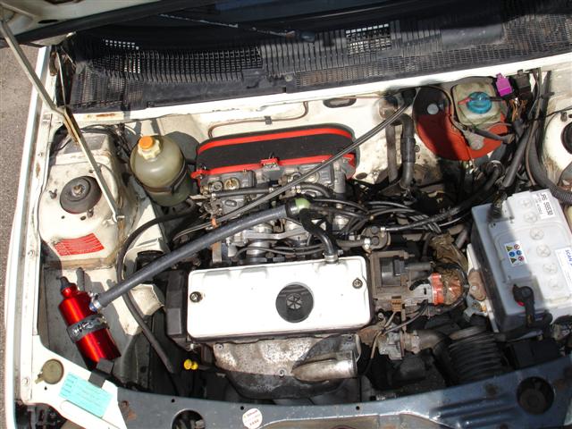 Picture 035 (Small).jpg