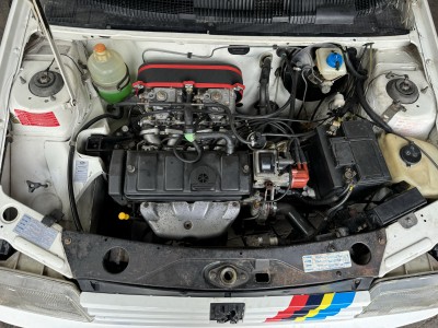 IMG_4325.jpeg