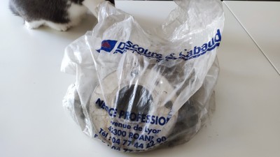 IMG_20250517_124716.jpg