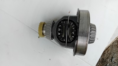 20250526_184647.jpg