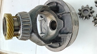 20250526_184146.jpg