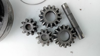 20250526_184131.jpg