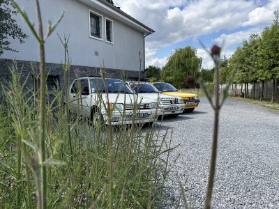 photo_r.jpeg