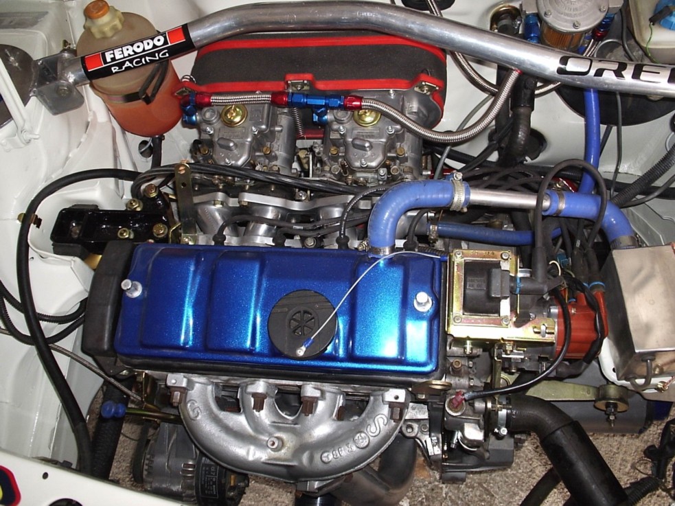 P1150006.JPG