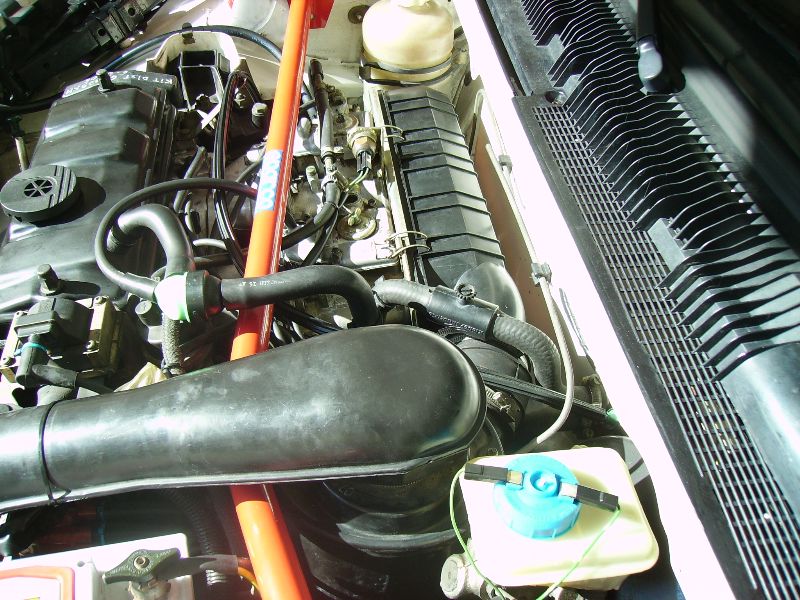 PICT0447_800x600.jpg