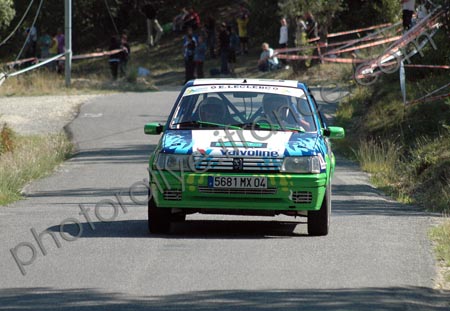 205 rally.jpg