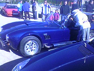 cobra2.jpg