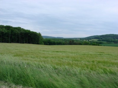 Super green, comme on ne le verra pas à la concentr' !