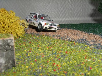 nimp 055.jpg