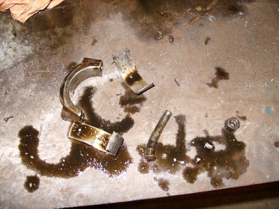 09-02-02 morceaux.JPG