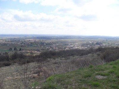 SDC10580.jpg