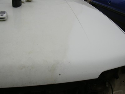 DSCN0576.JPG