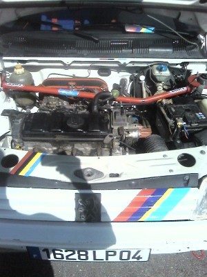 comportiment moteur