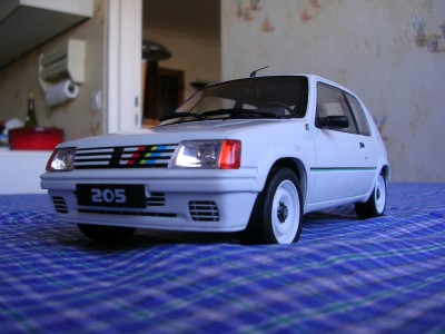 mini ralloche2.jpg