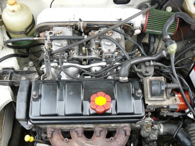 fleur%20bouchon%20rallye%2082[1].jpg