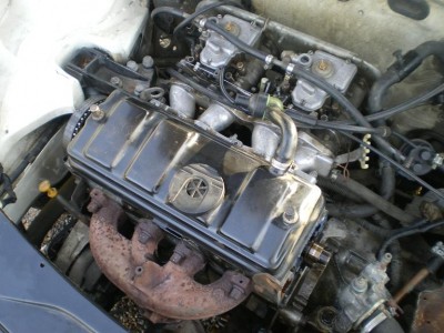 IMGP4183.JPG