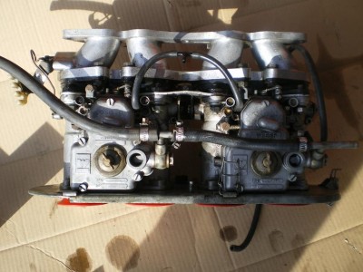 IMGP4186.JPG