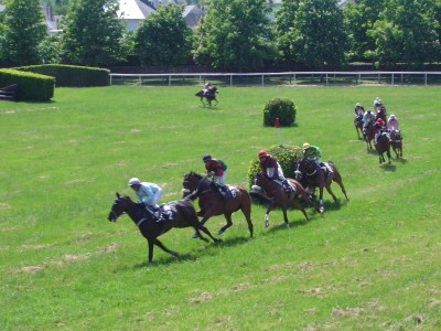 Course sur l' hippodrome de Pompadour