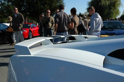 DSC_7265 [50%].JPG