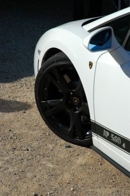 DSC_7266 [50%].JPG