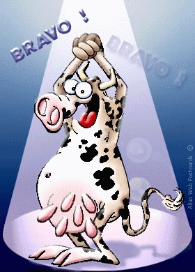 vache_bravo.png