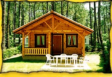 niv2_chalet.jpg