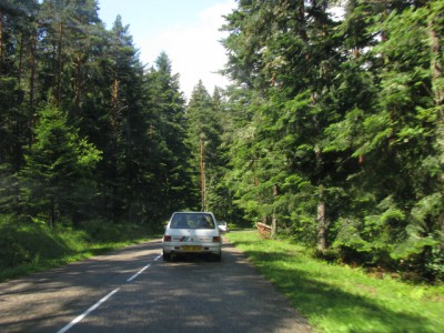 alsace 2011 013.jpg