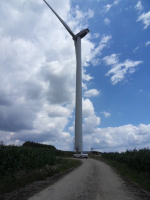 Photos sur la route de retour maternité (4).JPG