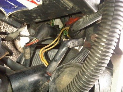 IMG00866-20110807-1224.jpg