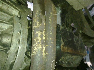 28082011355.jpg fofo.jpg