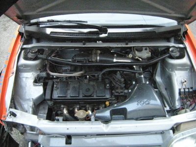 DSCN6560.jpg