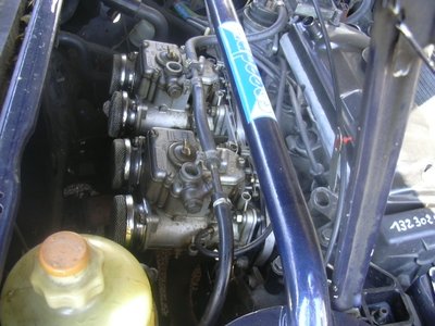 DSCN1010.JPG