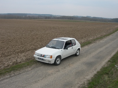 DSCN3762 (400x300).jpg