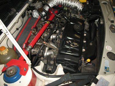 IMG_1135c.jpg
