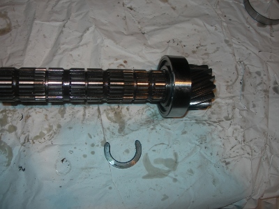 DSCN4005 (400x300).jpg