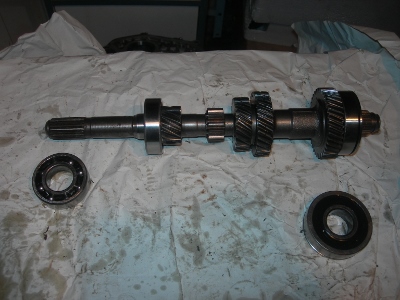 DSCN4009 (400x300).jpg