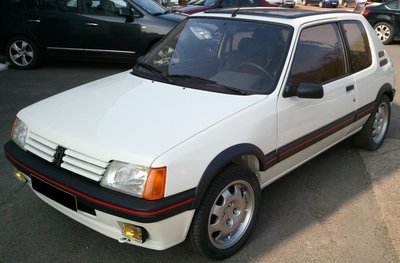 205 gti 1.jpg